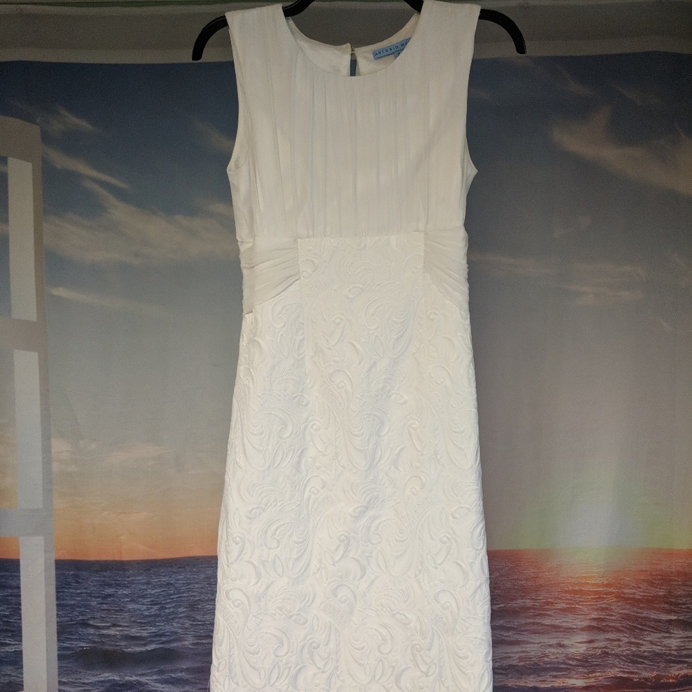 💐Absolutely Stunning Antonio Melani Dress